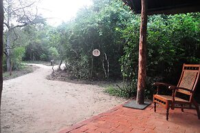 The Backwaters