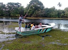 The Backwaters