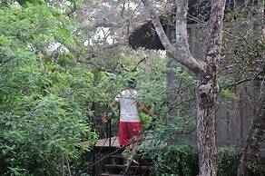The Backwaters