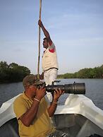 The Backwaters