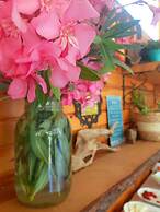 Sunset Boutique Hotel & Apartments