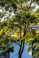 Pousada Villa Blu Maresias