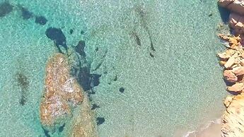 Babai Village Resort