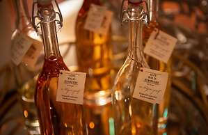 Hotel Wittelsbacher Hof