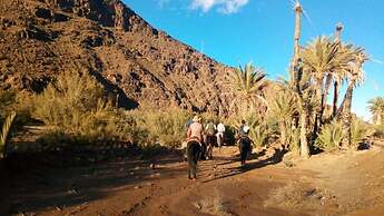 Auberge des Cavaliers du Todra