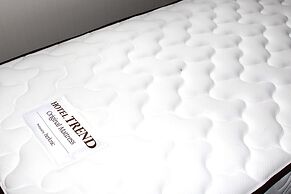 Hotel Trend Asakusa Annex