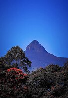 Adams Peak Inn