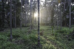 Dudhsagar Plantation