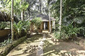 Dudhsagar Plantation