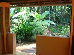 Dudhsagar Plantation