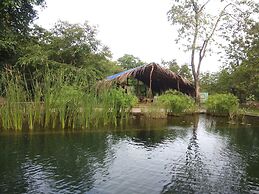 Dudhsagar Plantation