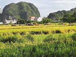 Tam Coc Rice Fields Homestay
