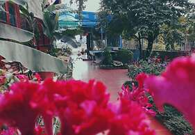 Tam Coc Rice Fields Homestay