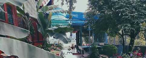 Tam Coc Rice Fields Homestay