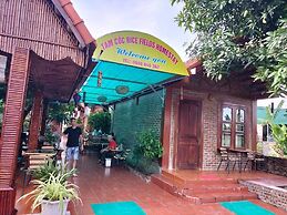 Tam Coc Rice Fields Homestay
