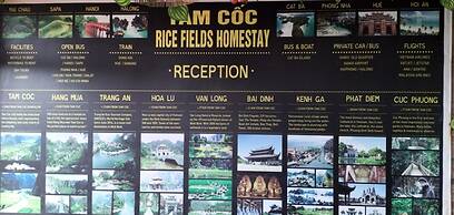 Tam Coc Rice Fields Homestay