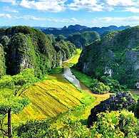 Tam Coc Rice Fields Homestay