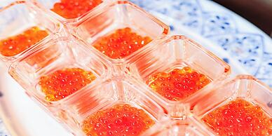 Hotel Torifito Otaru Canal