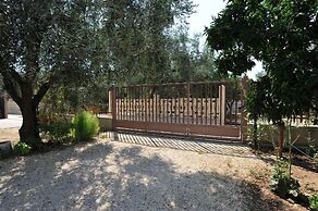 L'Agrumeto