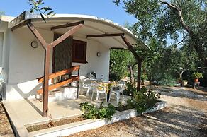 Residence Lido Dei Pini