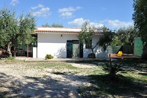 Residence Lido Dei Pini