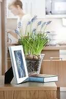 Holiday Club Kuusamo Tropiikki Apartments