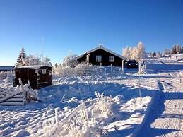 Lilleset Cabin - Gol