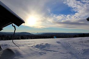 Lilleset Cabin - Gol