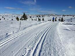 Lilleset Cabin - Gol