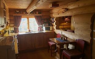 Heibu Cabin - Skåbu