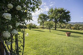 Il Nido di Gabbiano