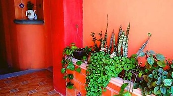 Hostal Quinto Sol