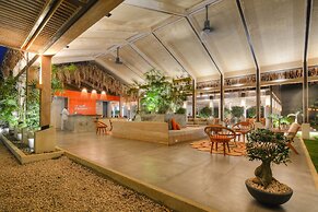 The Gilded Iguana Surf Hotel