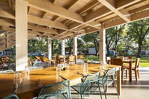 The Gilded Iguana Surf Hotel