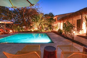 The Gilded Iguana Surf Hotel