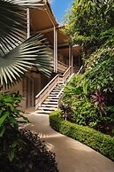 The Gilded Iguana Surf Hotel