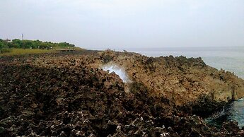 Bali Mynah Villas Resort