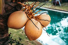 Bali Mynah Villas Resort