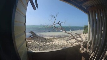 Sunrise Lagoon Homestay