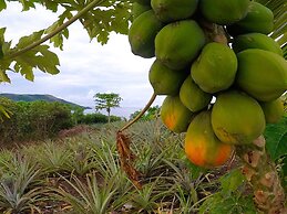 Sunrise Lagoon Homestay