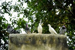 Hoang Giang Homestay