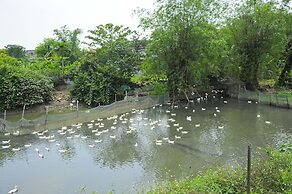 Hoang Giang Homestay