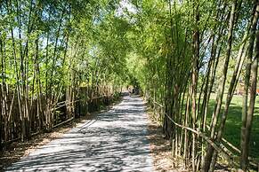 Alba Wellness Resort By Fusion