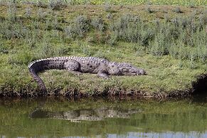 Bhadrawati Safari Ranthambore Resort