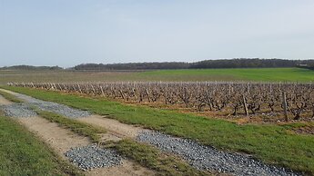 Le Moulin de Bacchus