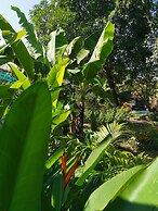 La Belle Vie Tam Coc Homestay