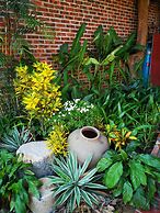 La Belle Vie Tam Coc Homestay