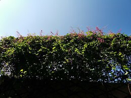 La Belle Vie Tam Coc Homestay