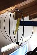 Guest House Ara Town