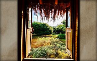 The Rabbit Tree - Hostel